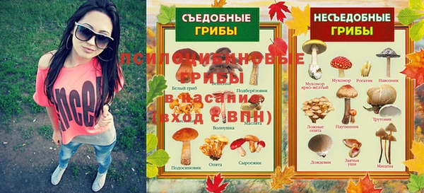 дмт Алексеевка